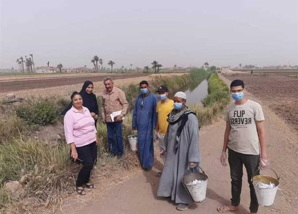 صحة شمال سيناء تطلق حملة لمكافحة القوارض عقب حصاد المحاصيل الشتوية