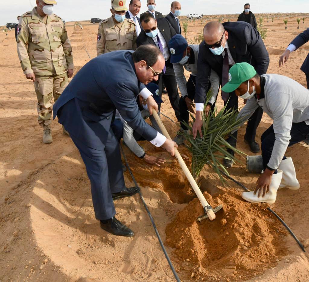 نقيب الفلاحين: احياء مشروع توشكي يعزز الزراعة ويزيد الإنتاج الزراعي