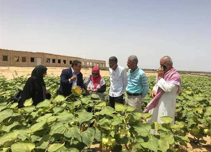 ذكرى ملحمة البرث ضد الإرهاب في وهج شهر يوليو: تضحيات وإنجازات على أرض سيناء