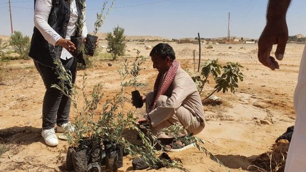 الدولة تواصل جهودها التنموية والخدمية في مركز ومدينة الحسنة بوسط سيناء