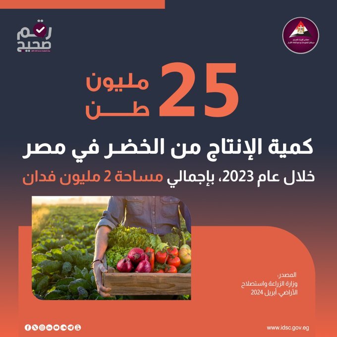 25 مليون طن كمية الإنتاج من الخضر فى مصر خلال عام 2023 بإجمالي مساحة 2 مليون فدان