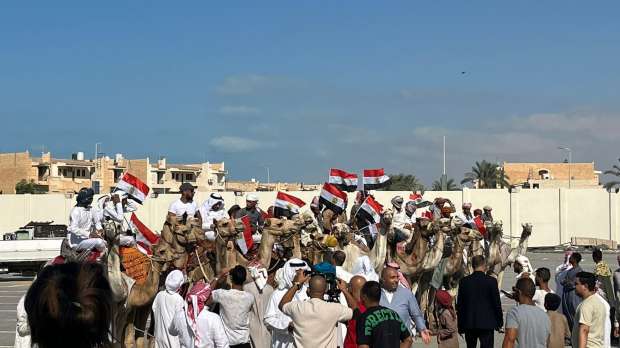 العريش تستعد لاستضافة مهرجان سباق الهجن بجهود مكثفة وتوسعة شاملة