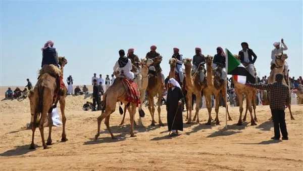 نائب محافظ شمال سيناء يؤكد أن مدينة رفح الجديدة ستشهد إطلاق الشعلة الأوليمبية