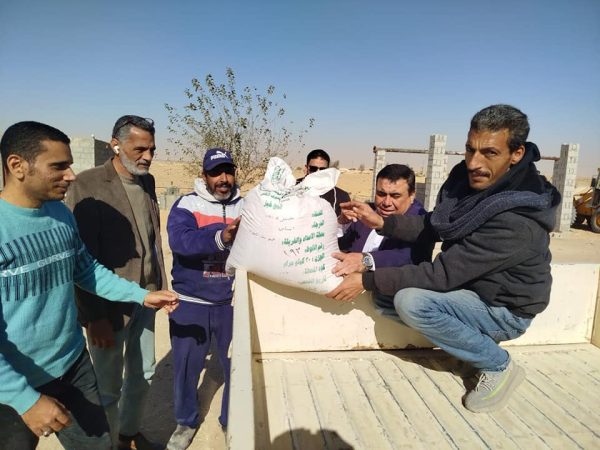 مديرية الزراعة بشمال سيناء توزع آلاف الأطنان من تقاوي الشعير مجانًا لدعم المزارعين