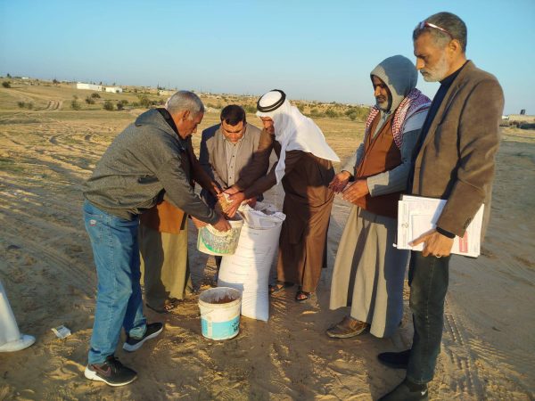 شمال سيناء توزع نصف طن من تقاوي الشعير مجانًا على المزارعين في رفح