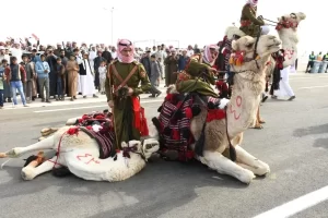 ختام فعاليات البطولة العربية والمهرجان العربي للهجن والتراث بشرم الشيخ - 9 - سيناء الإخبارية