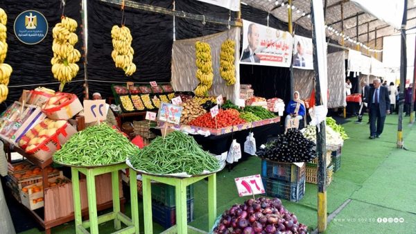 وزارة التنمية المحلية تدعم مبادرة 