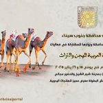 اليوم انطلاق مهرجان الهجن والتراث في شرم الشيخ.. احتفاء بالتراث البدوي وتعزيز السياحة الثقافية - 25 - سيناء الإخبارية