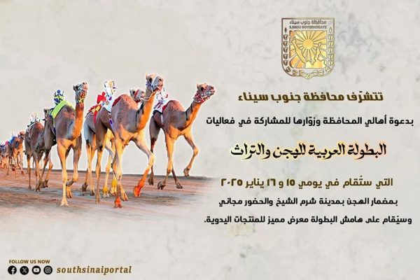 اليوم انطلاق مهرجان الهجن والتراث في شرم الشيخ.. احتفاء بالتراث البدوي وتعزيز السياحة الثقافية - 15 - سيناء الإخبارية