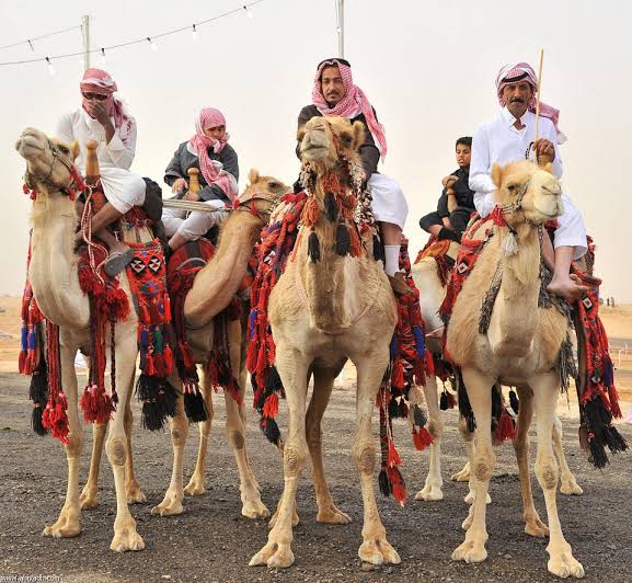 شرم الشيخ تستعد لاستقبال المهرجان العربي للهجن والتراث بمشاركة أردنية واسعة