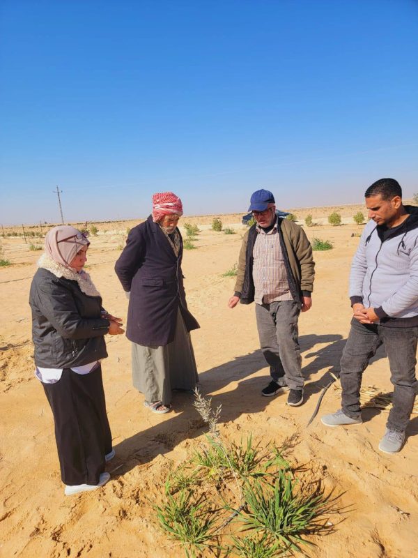 لجنة زراعية بشمال سيناء تتصدى لانتشار القوارض والآفات في تجمع بغداد وقرية أم شيحان