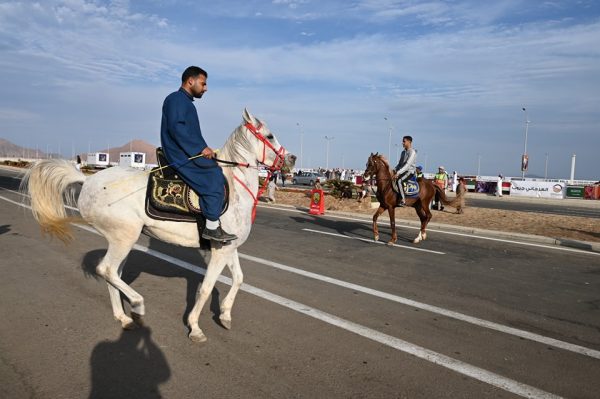 محافظ جنوب سيناء يتابع فعاليات اليوم الأول لسباقات الهجن ويشدد على دعم الاقتصاد المحلي وتطوير التراث - 15 - سيناء الإخبارية