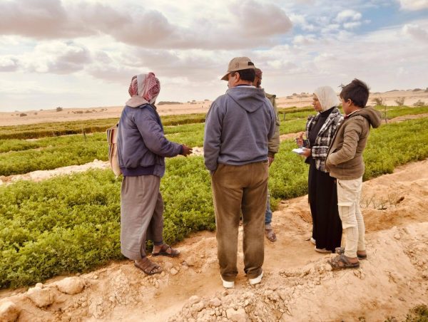 إدارة رفح الزراعية تواصل جهودها في تطوير القطاع الزراعي بشمال سيناء من خلال حصر جميع المحاصيل - 9 - سيناء الإخبارية