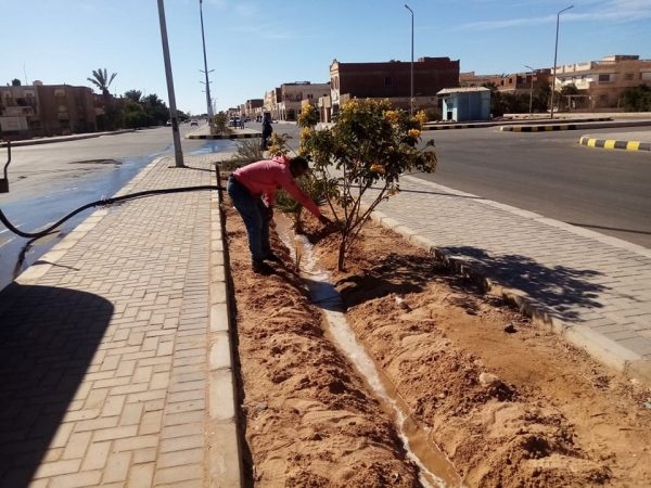 جولة تفقدية للإدارة الزراعية في شرم الشيخ لحصر الزراعات وتقدير احتياجات المياه - 7 - سيناء الإخبارية