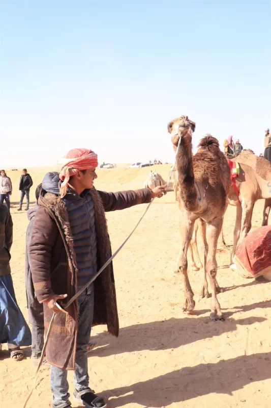 انطلاق فعاليات الدورة العشرين لمهرجان الإسماعيلية للهجن بمشاركة عربية واسعة..صور - 7 - سيناء الإخبارية