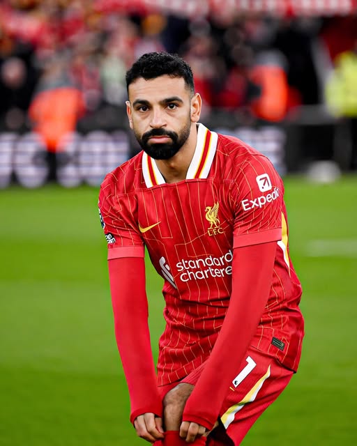 محمد صلاح على أعتاب رقم تاريخي جديد أمام توتنهام في كأس كاراباو - 5 - سيناء الإخبارية