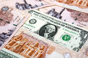 استقرار سعر الدولار أمام الجنيه المصري في تعاملات اليوم الأربعاء - 5 - سيناء الإخبارية