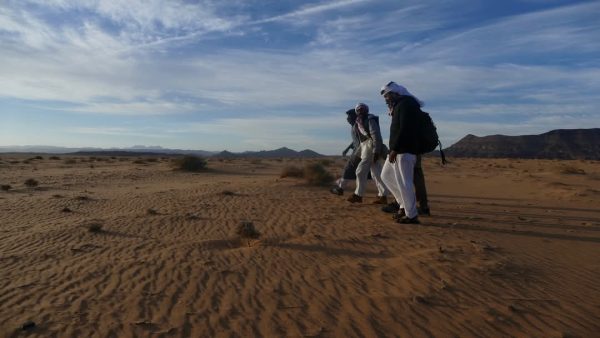 جنوب سيناء.. جنة طبيعية تجمع بين الجبال الذهبية والسواحل الفيروزية والرمال البيضاء - 107 - سيناء الإخبارية