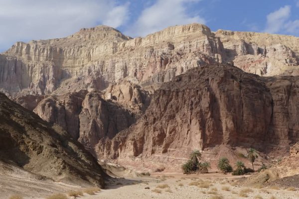 جنوب سيناء.. جنة طبيعية تجمع بين الجبال الذهبية والسواحل الفيروزية والرمال البيضاء - 101 - سيناء الإخبارية