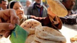 تموين القاهرة: رغيف الخبز المدعوم في أمان رغم ارتفاع أسعار الوقود - 7 - سيناء الإخبارية