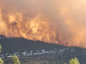 تجدد حرائق القدس الغربية: 18 فرقة إطفاء تكافح النيران في المناطق السكنية - 3 - سيناء الإخبارية