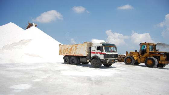 ملاحة سبيكة غرب العريش تُنتج 300 ألف طن ملح سنوياً وتُصدر للخارج