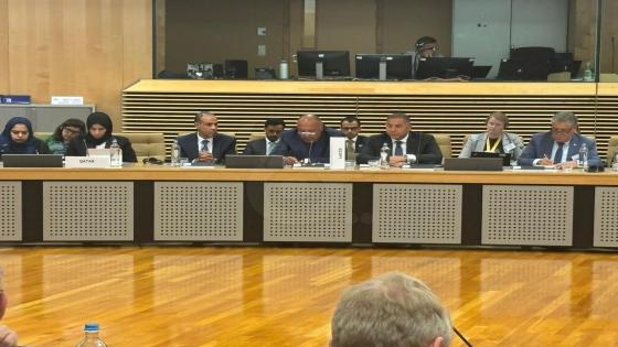 اجتماع وزاري عربي أوروبي في بروكسل لدعم فلسطين: شكري يؤكد على ضرورة إنهاء الأزمة الإنسانية