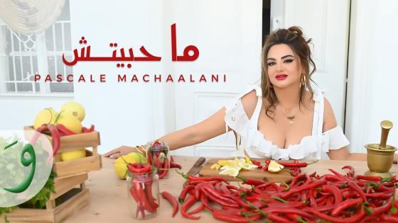 أغنية “ماحبيتش” تحقق نجاحا كبيرا للنجمة اللبنانية باسكال مشعلاني