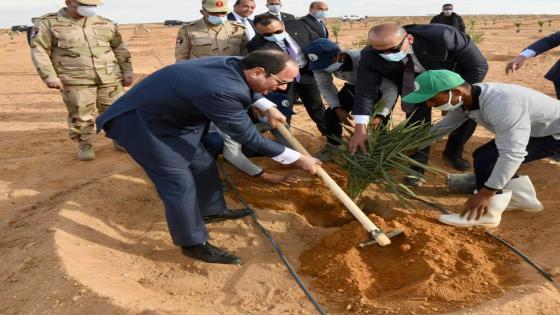 إحياء مشروع توشكي لتنمية جنوب الوادي