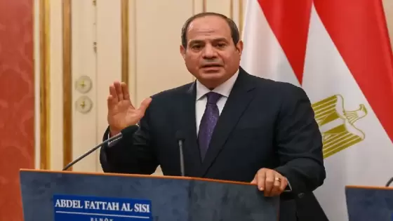 الرئيس السيسي يؤكد لنظيره الصومالي موقف مصر الداعم لوحدة وسيادة الصومال وعدم التدخل في شئونها