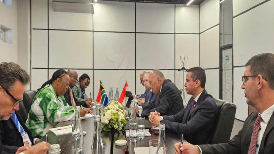شكري: مصر ترفض جميع الانتهاكات الإسرائيلية في رفح الفلسطينية وتبحث التعاون مع جنوب إفريقيا