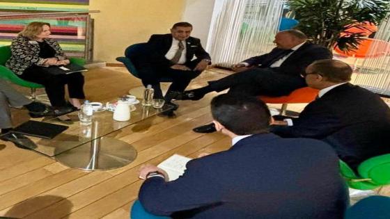 لقاء وزير الخارجية المصري سامح شكري مع وزير الدولة البريطاني لشؤون الشرق الأوسط وشمال إفريقيا اللورد طارق أحمد
